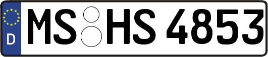 MS-HS4853
