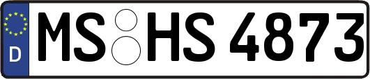 MS-HS4873