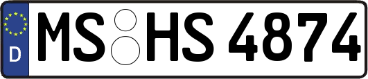 MS-HS4874