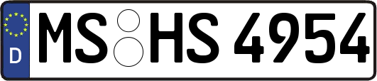 MS-HS4954