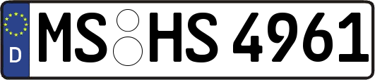 MS-HS4961