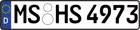MS-HS4973