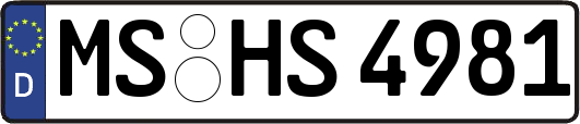 MS-HS4981
