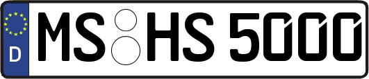 MS-HS5000