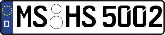 MS-HS5002