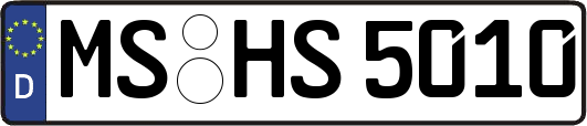 MS-HS5010