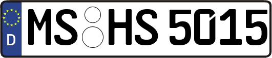 MS-HS5015