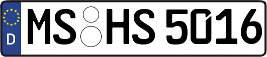 MS-HS5016