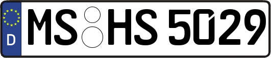 MS-HS5029