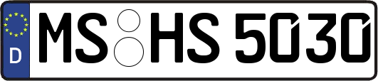 MS-HS5030