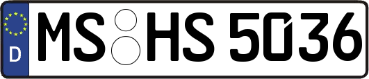 MS-HS5036