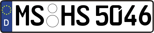MS-HS5046