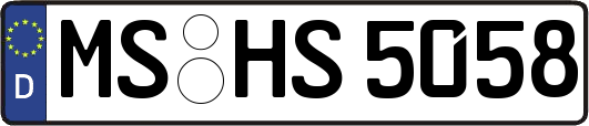 MS-HS5058