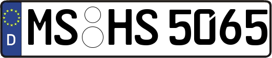 MS-HS5065