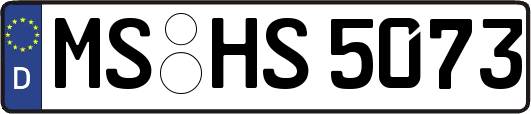 MS-HS5073