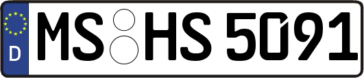 MS-HS5091