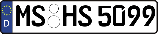 MS-HS5099