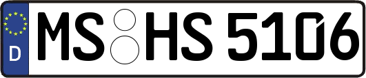 MS-HS5106