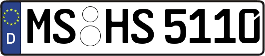 MS-HS5110
