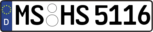 MS-HS5116