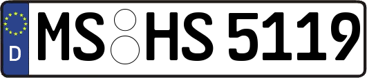 MS-HS5119