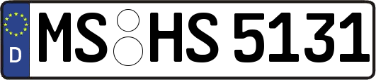 MS-HS5131