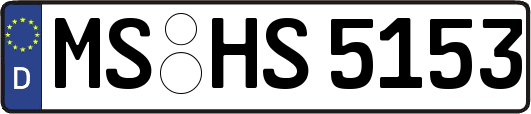 MS-HS5153