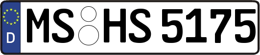 MS-HS5175