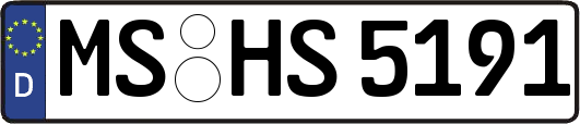 MS-HS5191