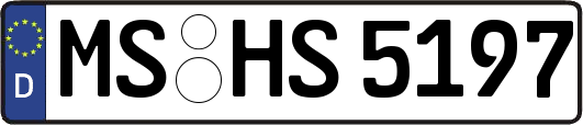 MS-HS5197