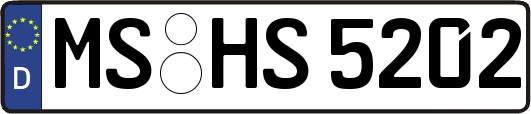 MS-HS5202
