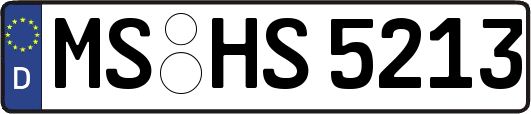 MS-HS5213
