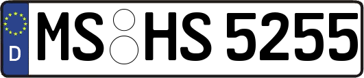 MS-HS5255