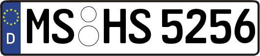 MS-HS5256