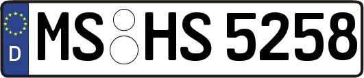 MS-HS5258