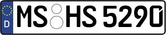 MS-HS5290