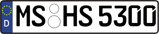 MS-HS5300