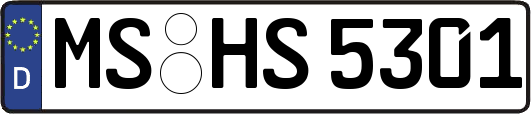MS-HS5301