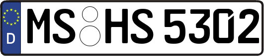 MS-HS5302