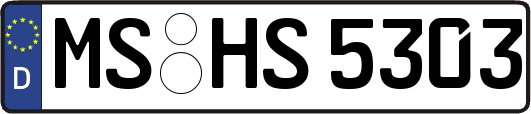 MS-HS5303