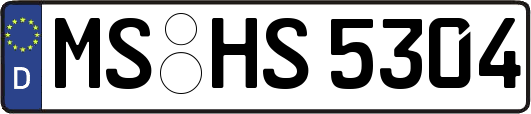 MS-HS5304