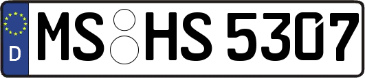 MS-HS5307