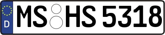 MS-HS5318