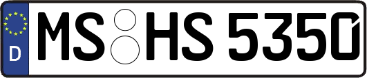 MS-HS5350
