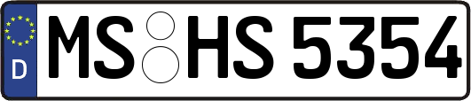MS-HS5354