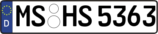 MS-HS5363