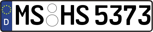 MS-HS5373
