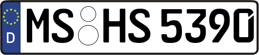 MS-HS5390