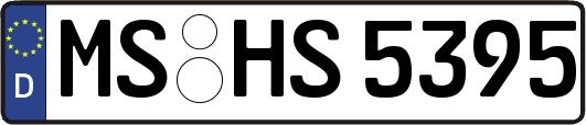 MS-HS5395