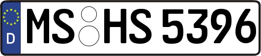 MS-HS5396